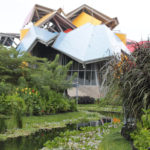 BIOMUSEO