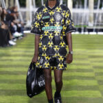 LOUIS_VUITTON_MENS_SPRING_SUMMER_2025_LOOK_77