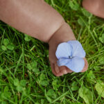 agenda lily vargas 1225-471R