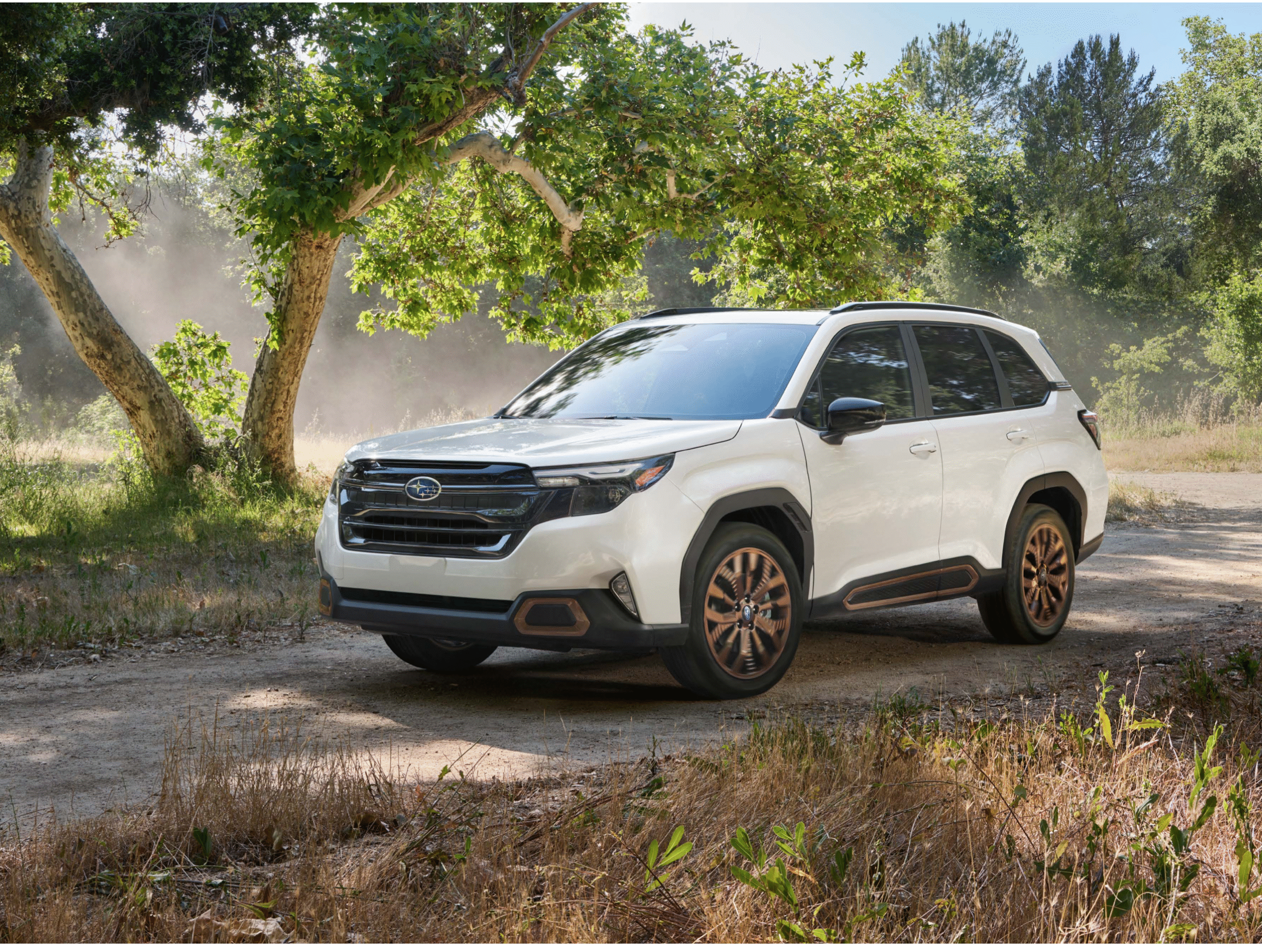 Screen Shot 2026-02-20 at 6.52.30 PM